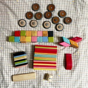 Tegu wooden magnetic blocks, assorted